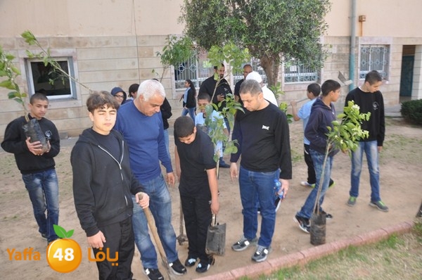 trees shamela 0321 (64).JPG